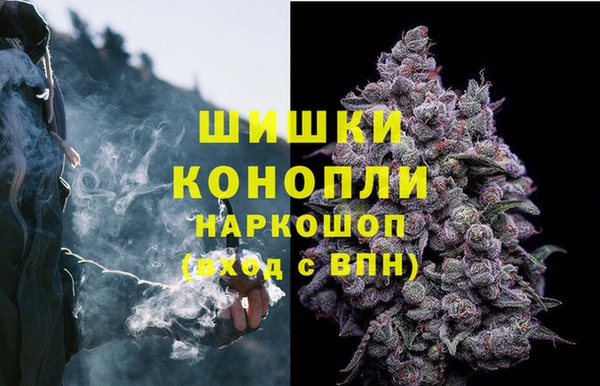 амф Беломорск
