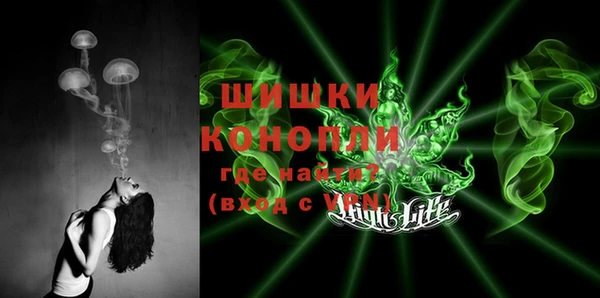 крисы Белокуриха