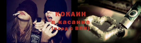 крисы Белокуриха
