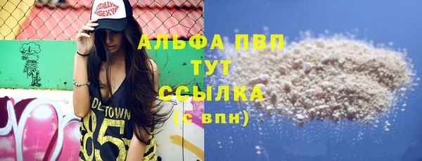 крисы Белокуриха