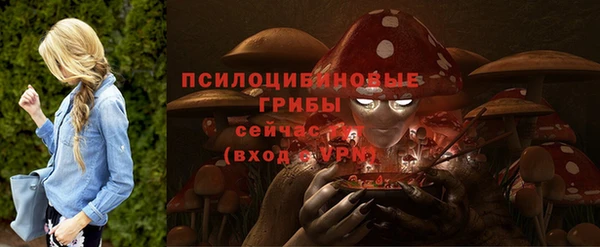 амф Беломорск