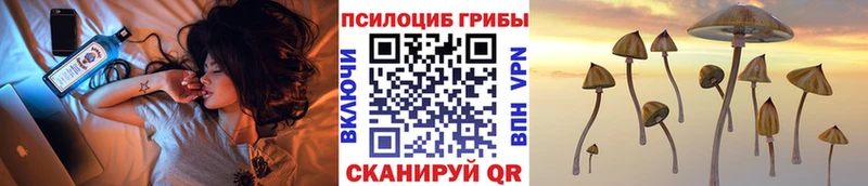 Галлюциногенные грибы MAGIC MUSHROOMS Шагонар